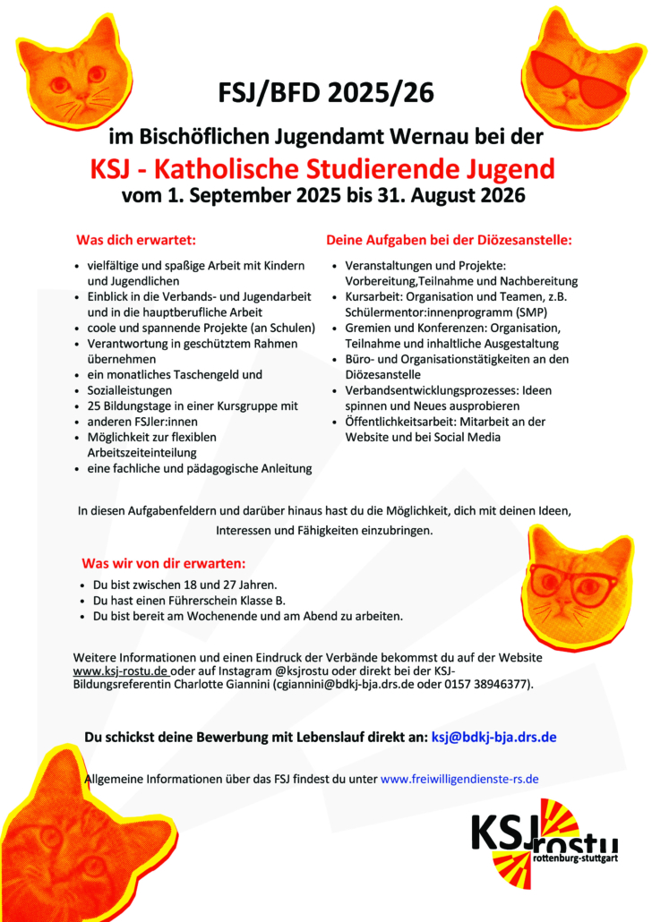2025_Ausschreibung FSJ-final_1