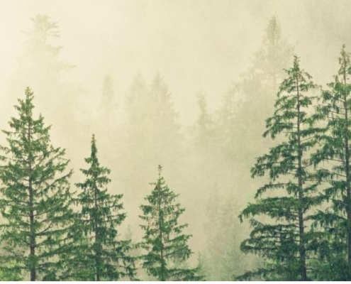 Grün und weiß minimalistisch Umweltschutz Poster – 1