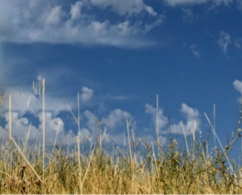 aboutheaven_Juni_Himmel und Erde